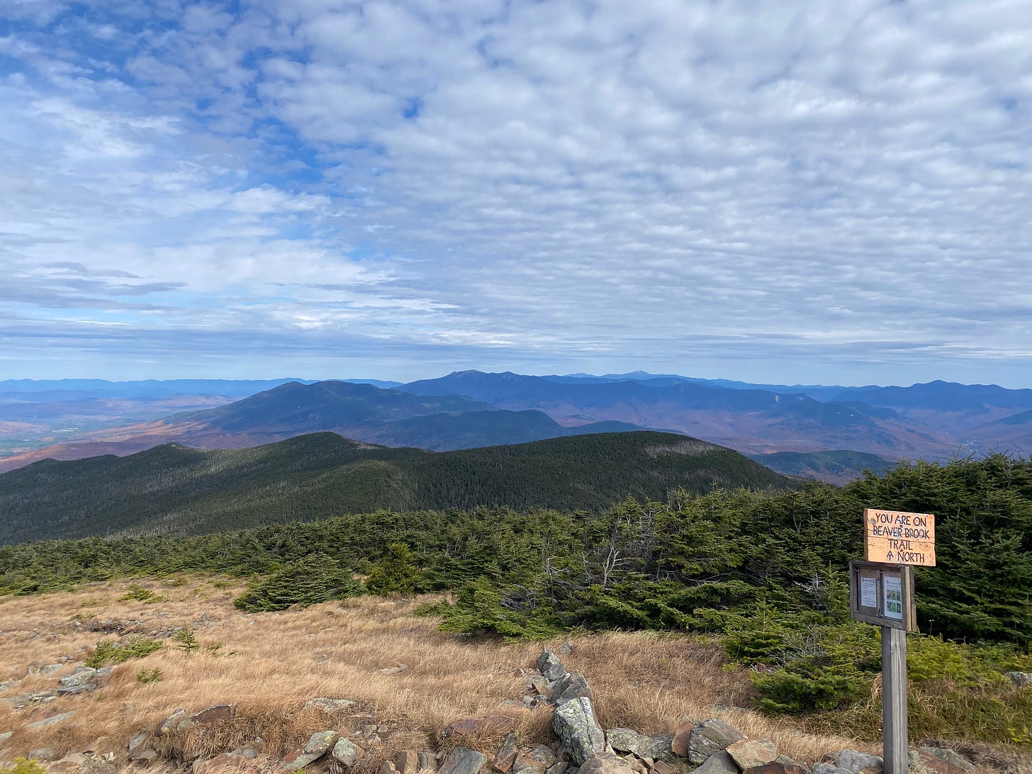 View of a grassy alpine meadow on top of a mountain, looking out over many blue ridges, including Mt. Washington in the distance.