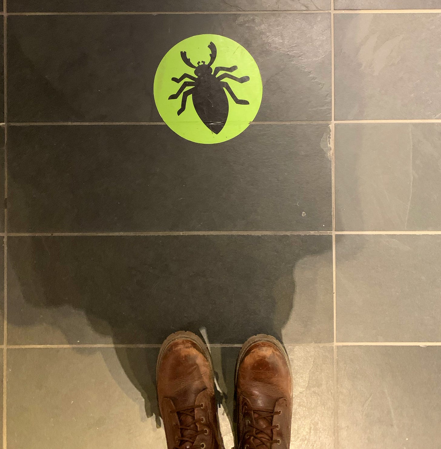 The two feet of the photographer in big brown boots, and in front of them a round, green stick on the floor with a drawing of a bug