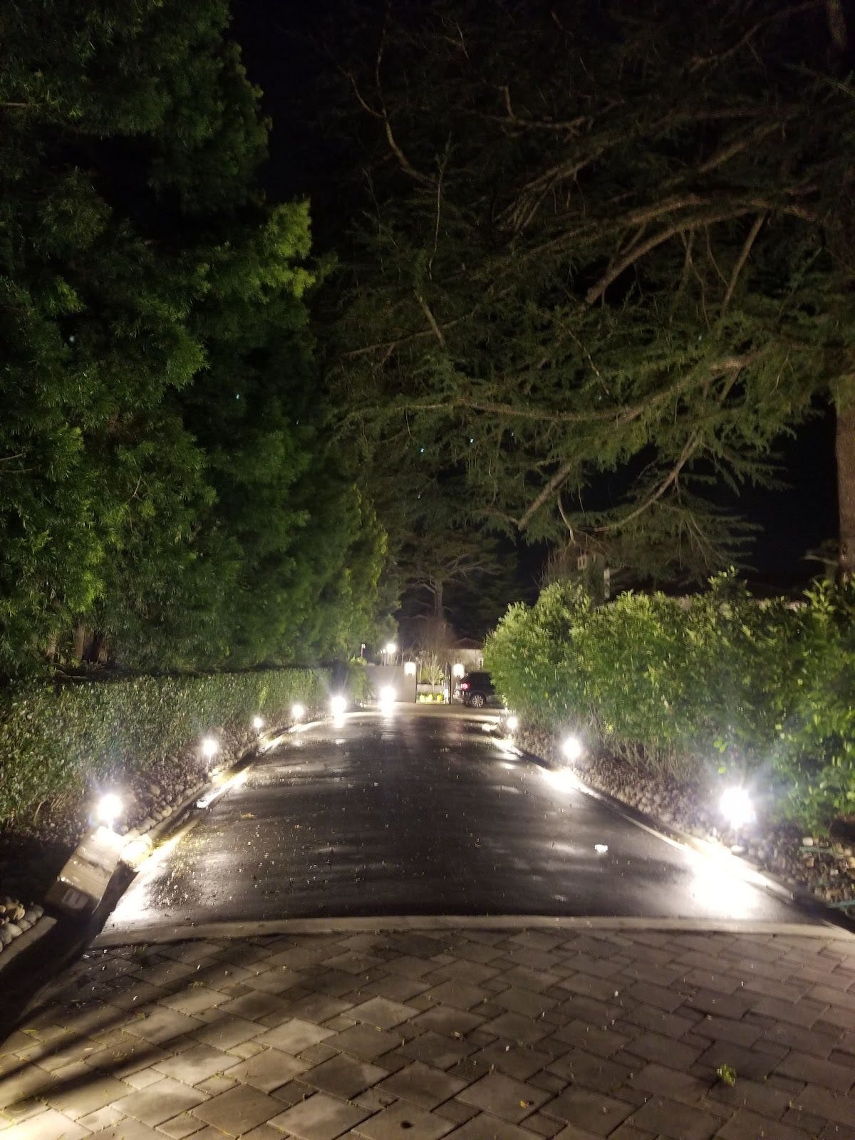 Lighted pathway surrounded by hedges at night