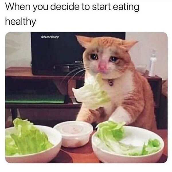Eating healthy. Feel like crying - Meme by arrowguy :) Memedroid