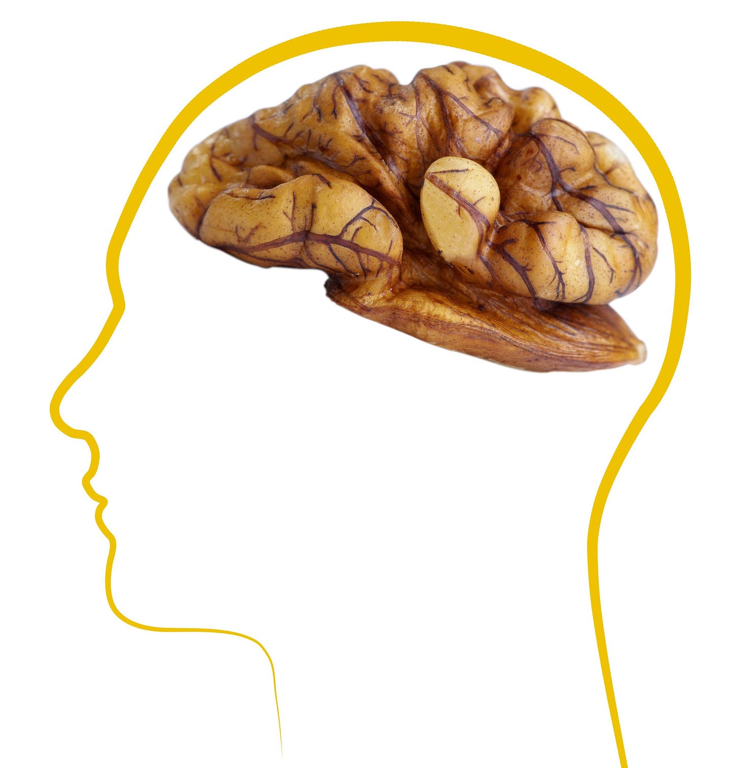 Role of Walnuts in Brain Health – Naturopathic Doctor News and Review