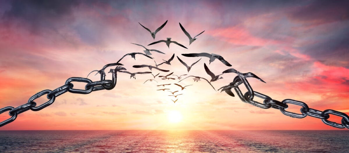 Free yourself from your attachments and stop suffering | Albert Cervelló  Griso