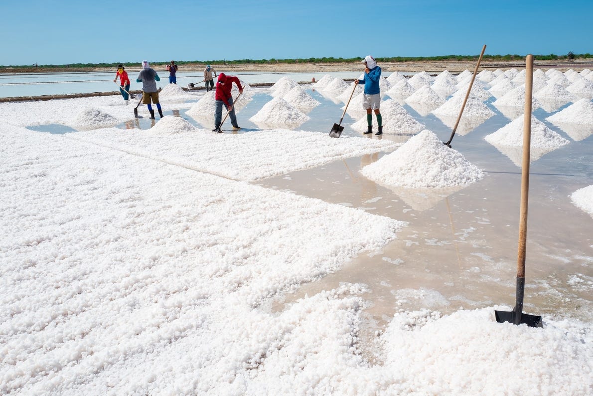 Trabalhadores separando sal em salinas