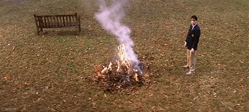 GIF of Max Fisher burning leaves at Rushmore