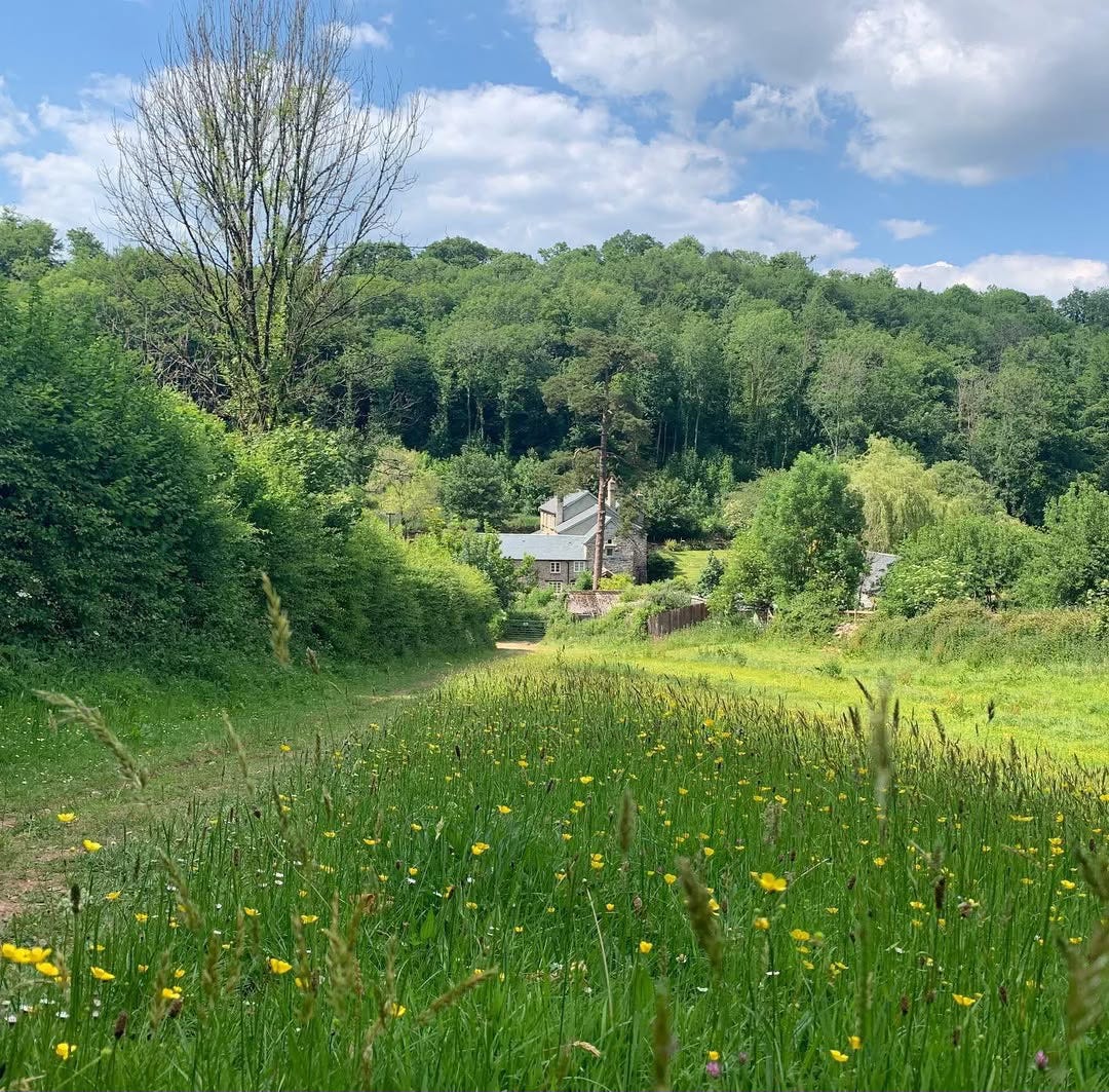 “A little footpath through a meadow near Berry Pomeroy Castle.” Photo and caption by Stand and Deliver Photography “A little footpath through a meadow near Berry Pomeroy Castle.” Photo and caption by Stand and Deliver Photography