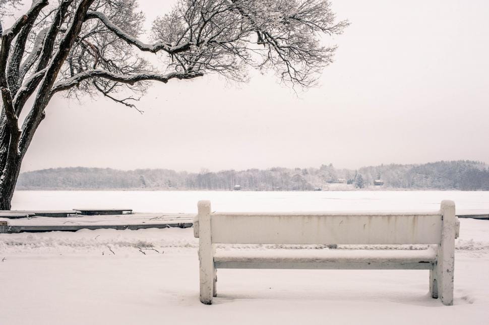 Free Stock Photo of Snow-covered bench overlooking a frozen lake | Download  Free Images and Free Illustrations