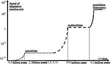 220px %2B Fig 1 The evolution of the reaction speed %28eng%29