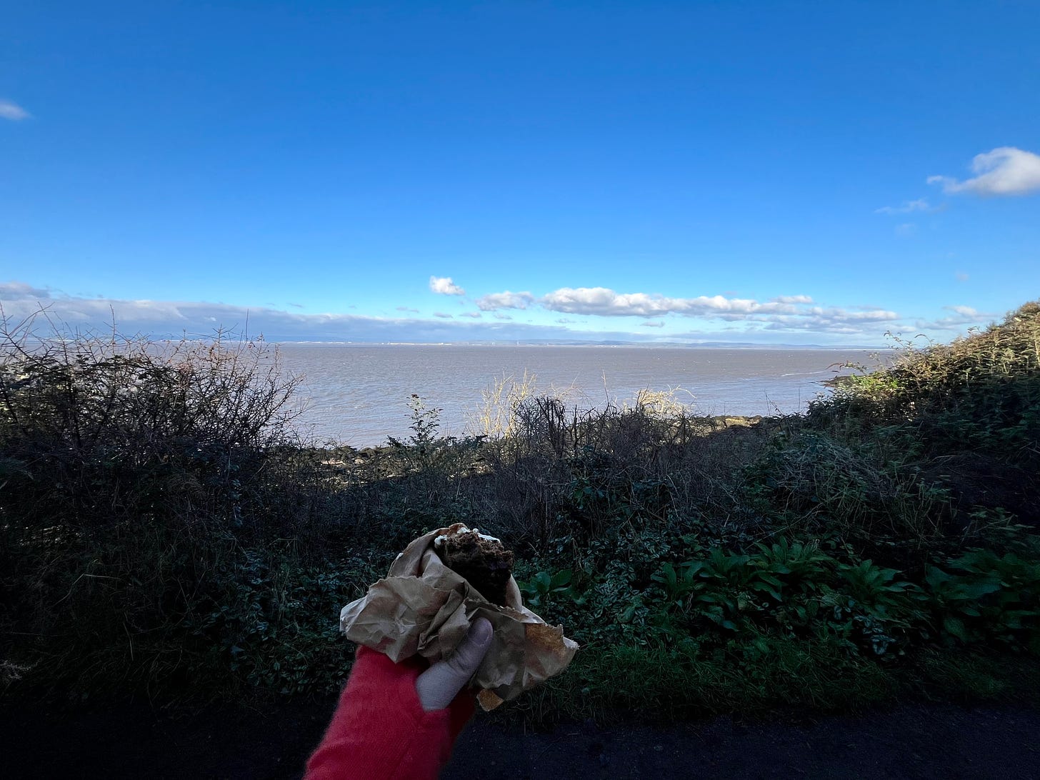 Landscape photo showing my hand, in an orange mitt, holding cake in a paper bag, in front of a sweeping view of the Bristol channel