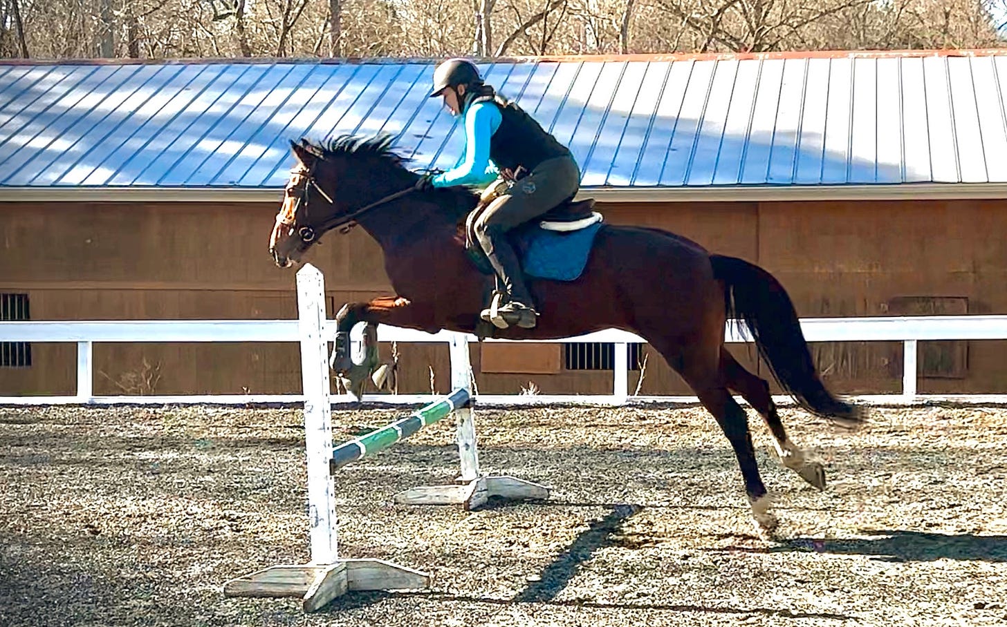 A bay horse jumping a 2'3" jump from a long distance, all four feet in the air, the rider is a white woman in a turquoise shirt.