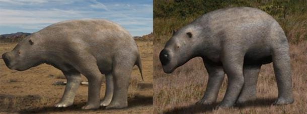 Diprotodontidae es una familia extinta de grandes marsupiales nativos de Australia en el Oligoceno hasta el Pleistoceno. (CC BY 3.0)