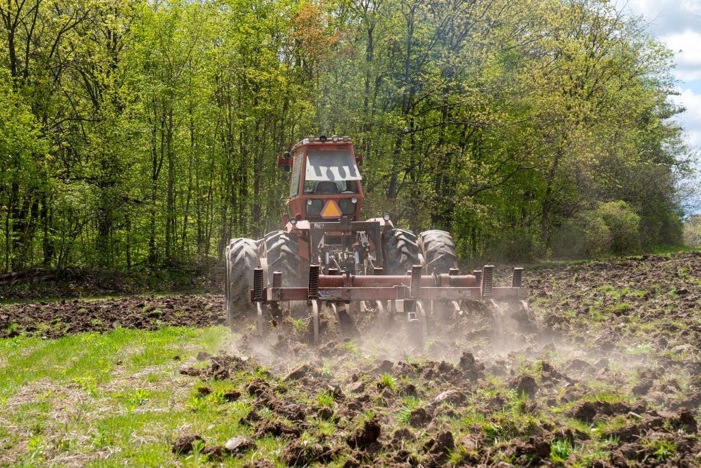 America’s Shrinking Farmland Threatens Food Security