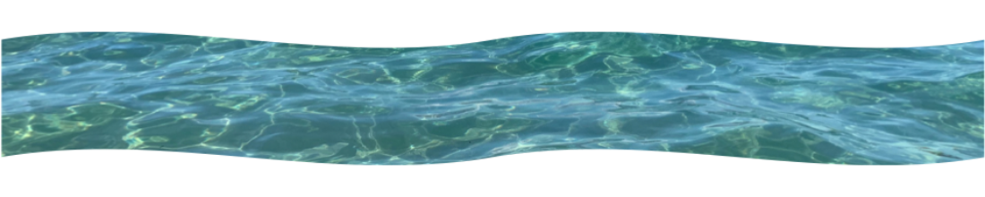 a wavy cut-out of the Pacific ocean, clear blue water.