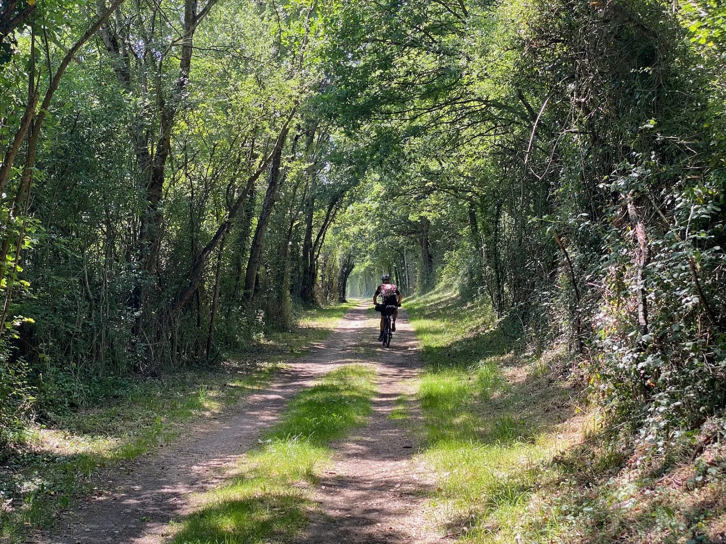 Entre forêts et champs Entre forêts et champs