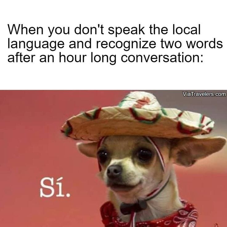 Language Barries Travel Meme | Travel meme, Memes, Spanish memes