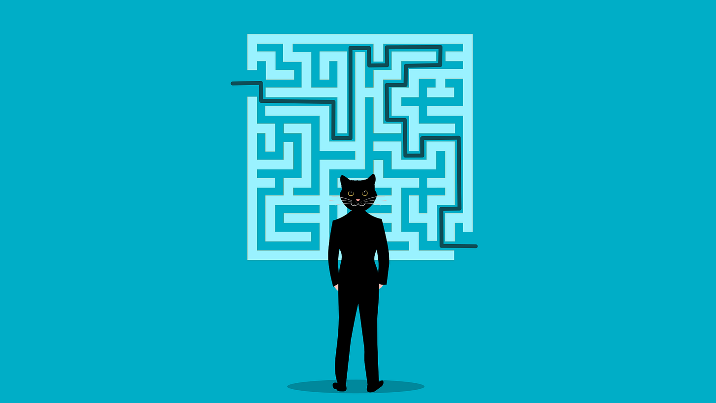 Image of humanoid cat and a maze