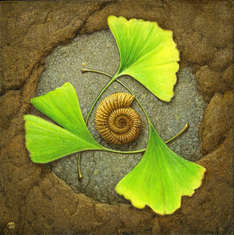 The spiral of an ammonite fossil sits inside a triangle formed by three interlocking ginkgo leaves that pop vibrant green and yellow against earth tones. The fossil rests in a circle of grey stone with  the leaves slightly overlapping the natural brown stone that surround it.