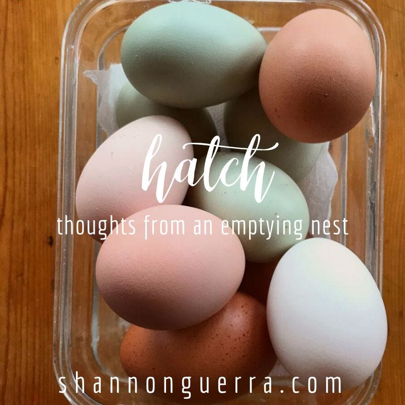 hatch: thoughts from an emptying nest