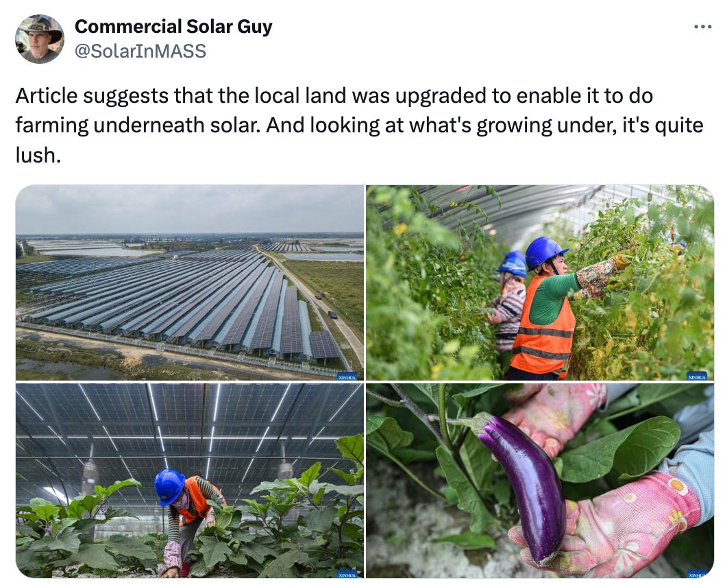 Post See new posts Conversation Commercial Solar Guy @SolarInMASS Article suggests that the local land was upgraded to enable it to do farming underneath solar. And looking at what's growing under, it's quite lush.