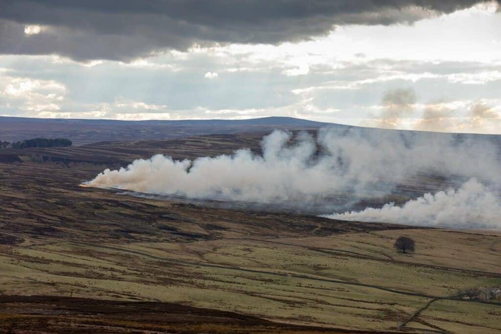 Burning peatland by steve morgan greenpeace