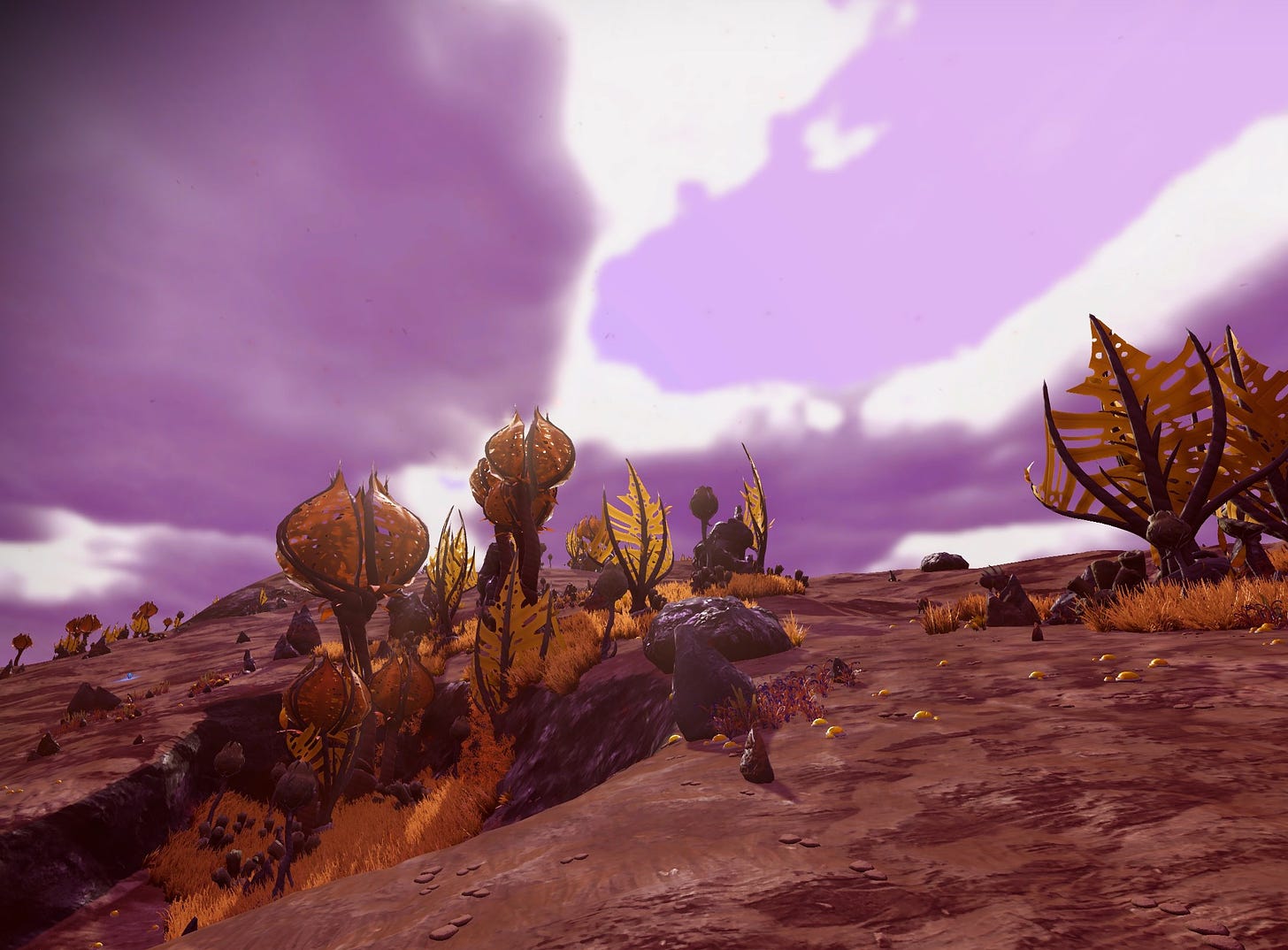 Screen cap of alien world from No Man's Sky