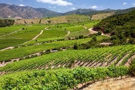 Colchagua Valley and Santa Cruz - Chile Travel