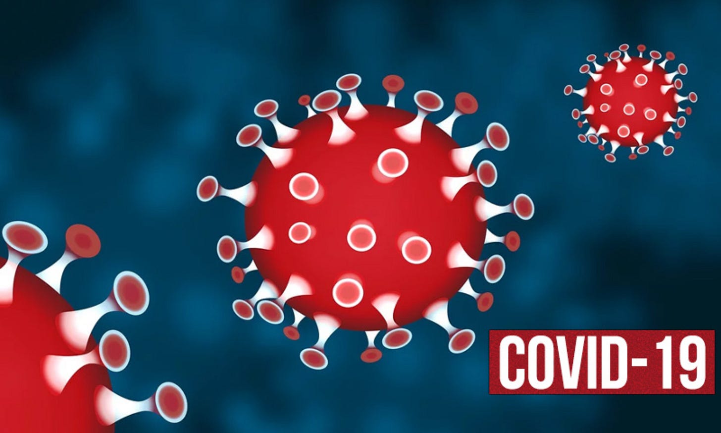 COVID-19: How World Health Organization Names New Infectious Diseases?[Read  Guidelines]