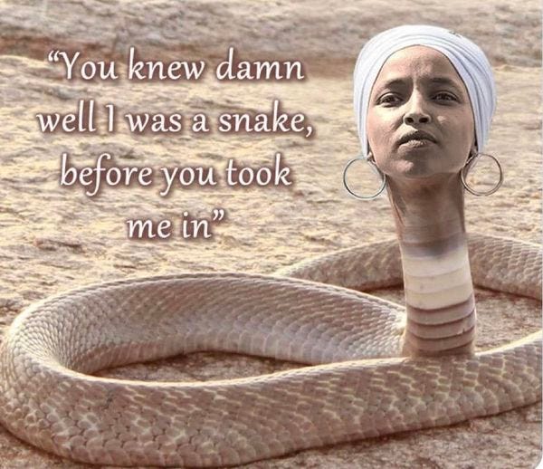 May be an image of snake and text that says '"You knew damn well 1 was a snake, before you took me in"'