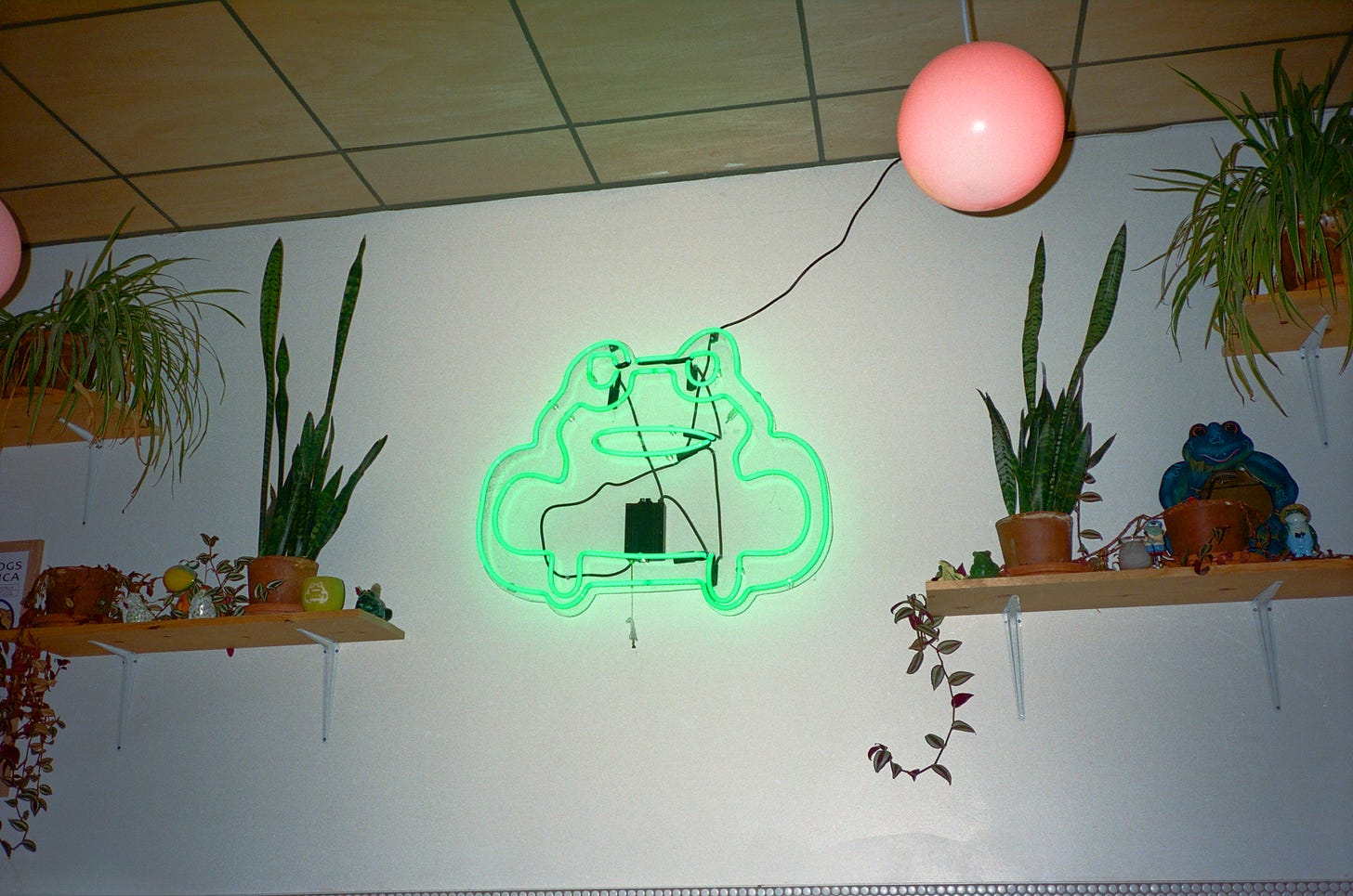 Pinyon's neon green toad sign