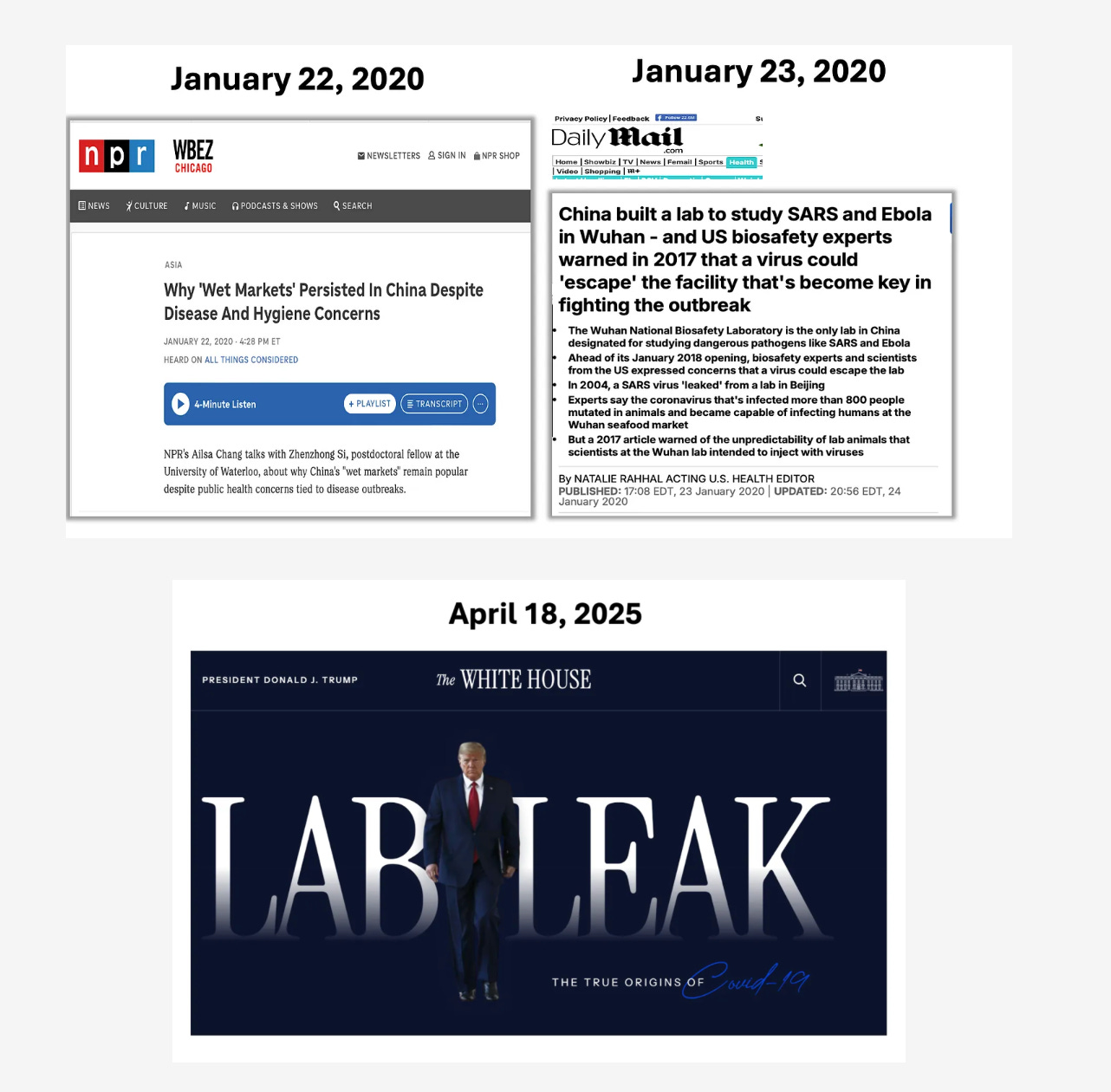 PastedGraphic-1.png