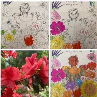 a coloring sheet with a woman and flowers and a photo of red azaleas