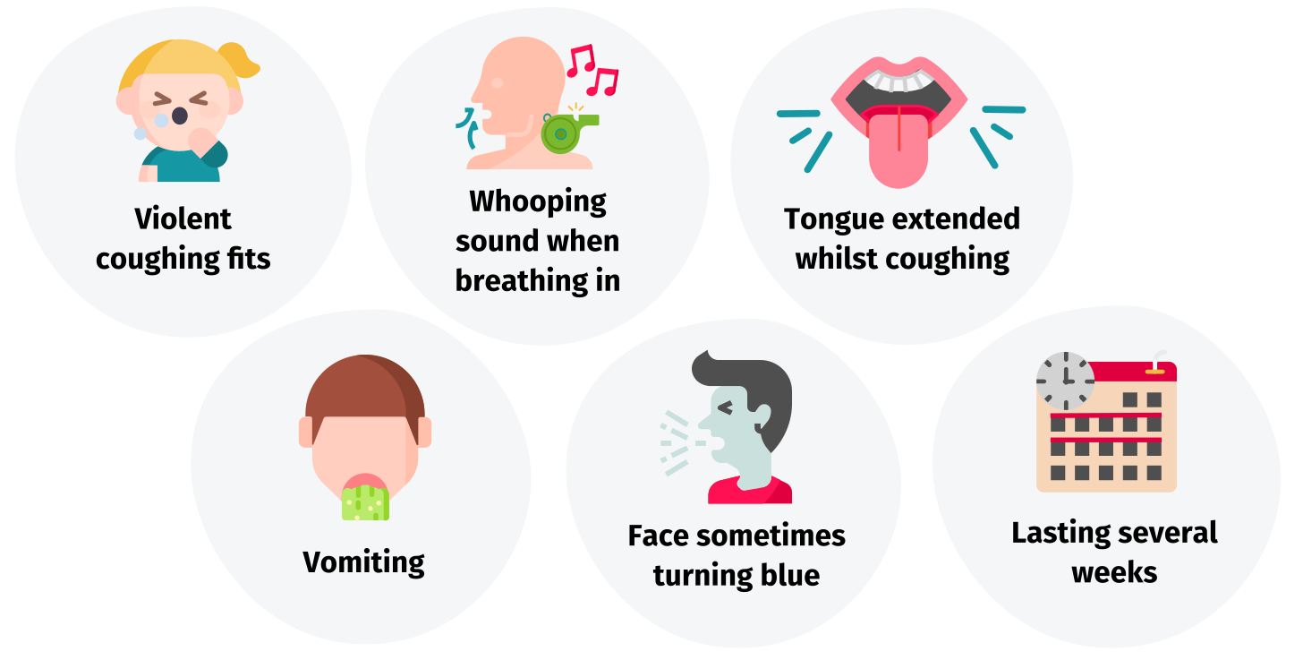 Whooping cough: causes, progression, treatment | gesund.bund.de