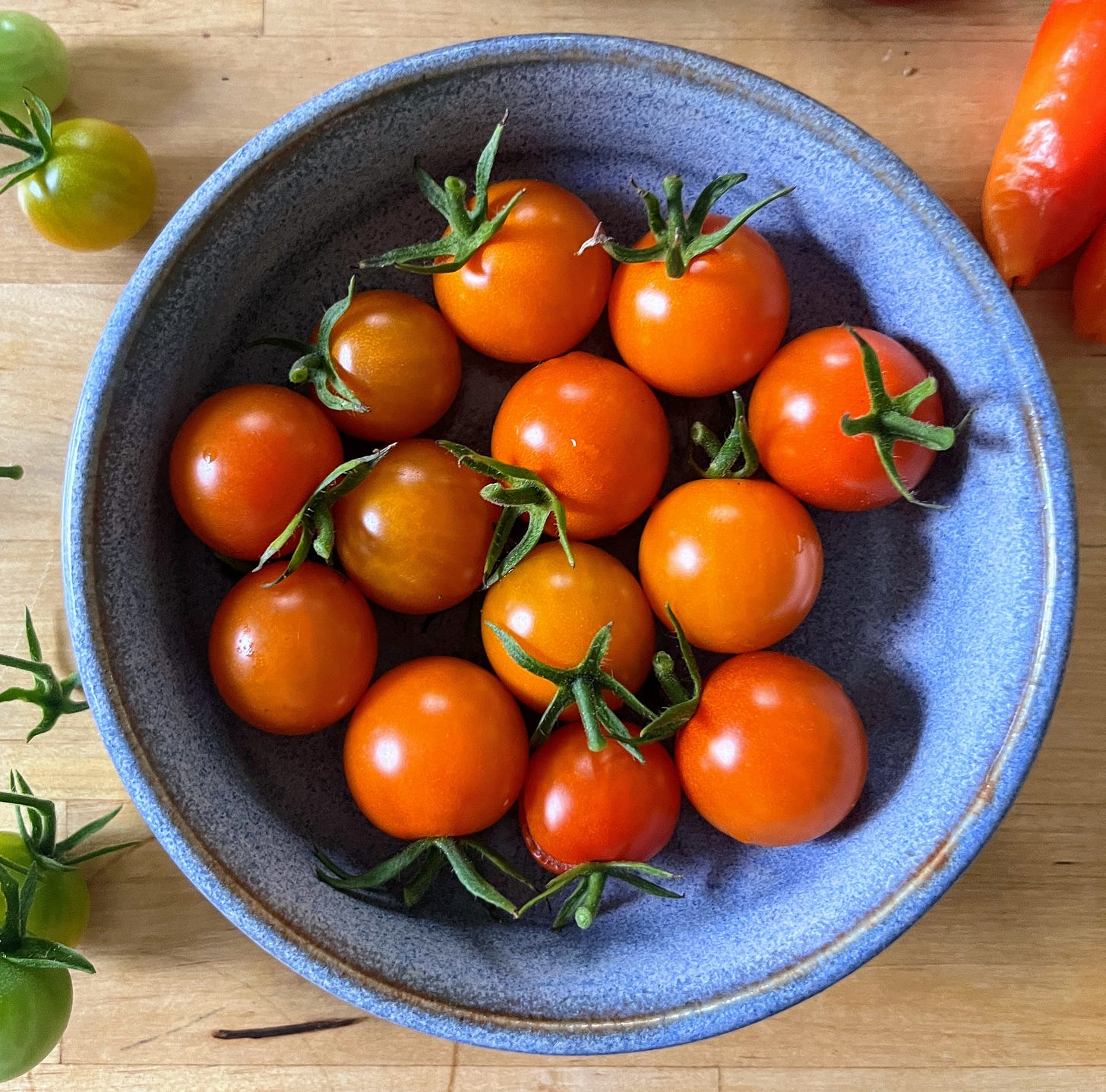 Bowl of Sungold tomatoes