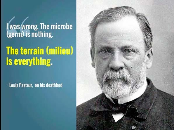 Louis Pasteur meme - Science-Based Medicine