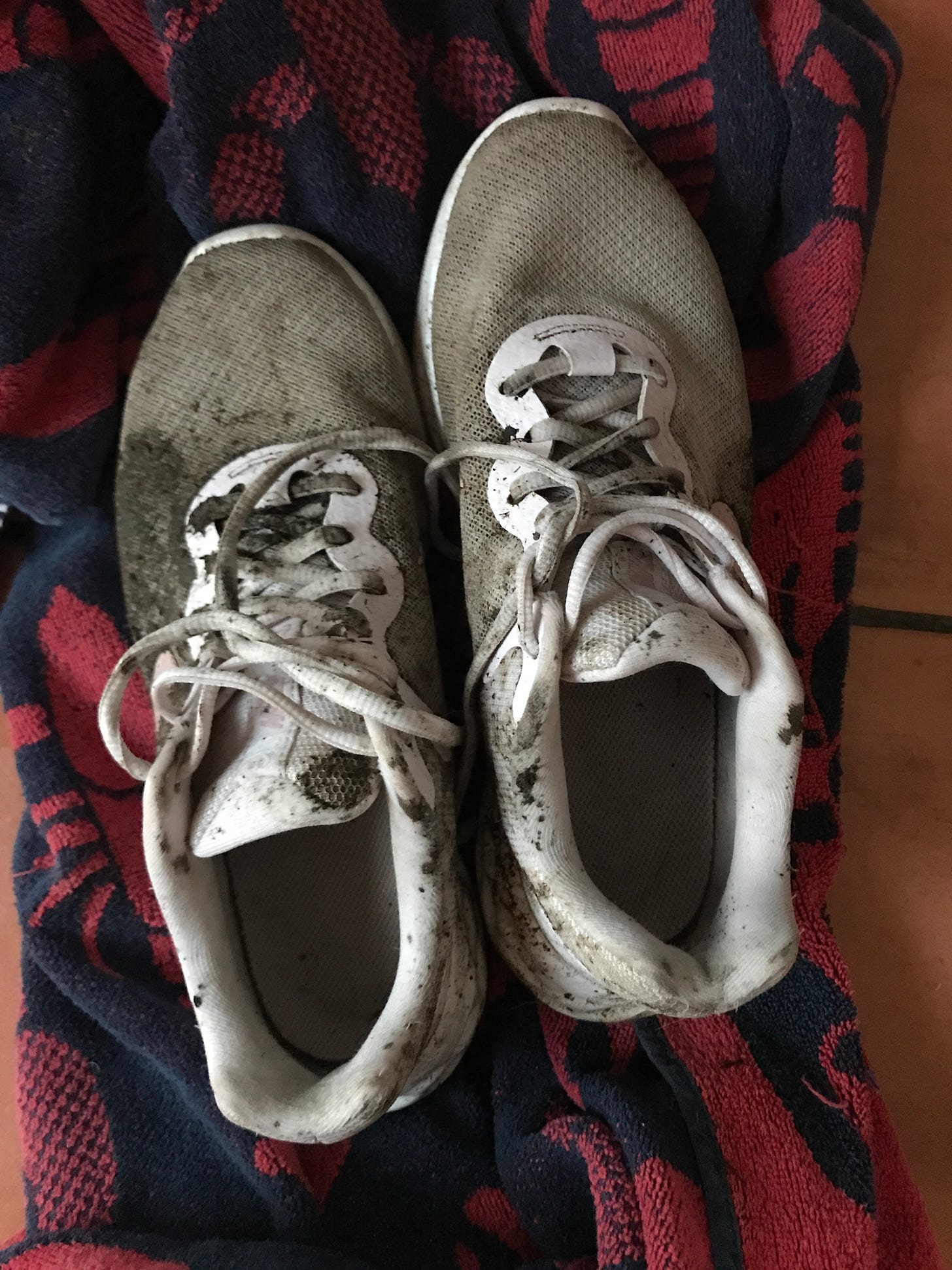 Muddy running shoes on a towel