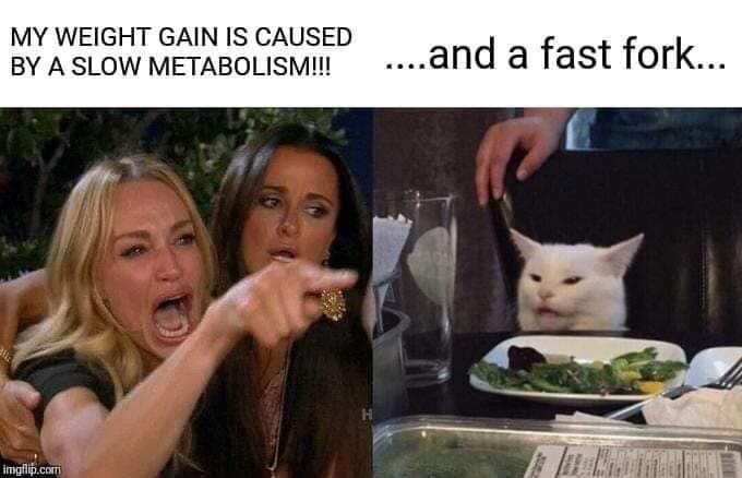 Slow Metabolism | Cat memes, Memes, Animal crossing memes