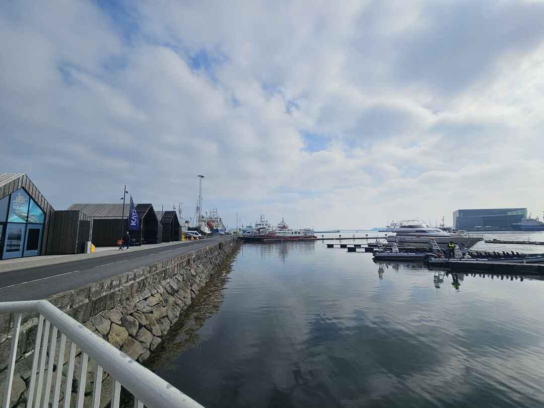 Reykjavik harbour view