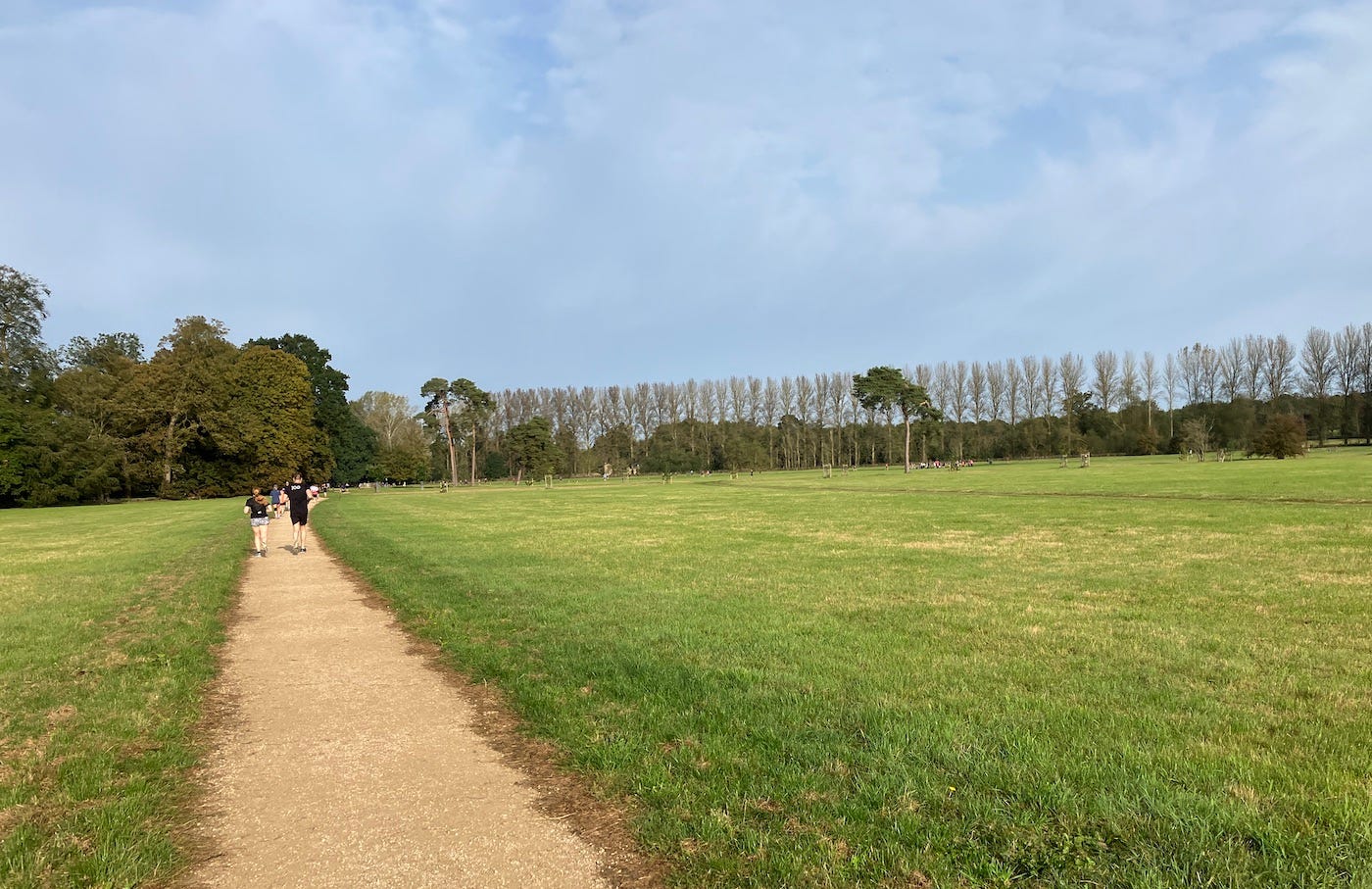 Beige path through green fields