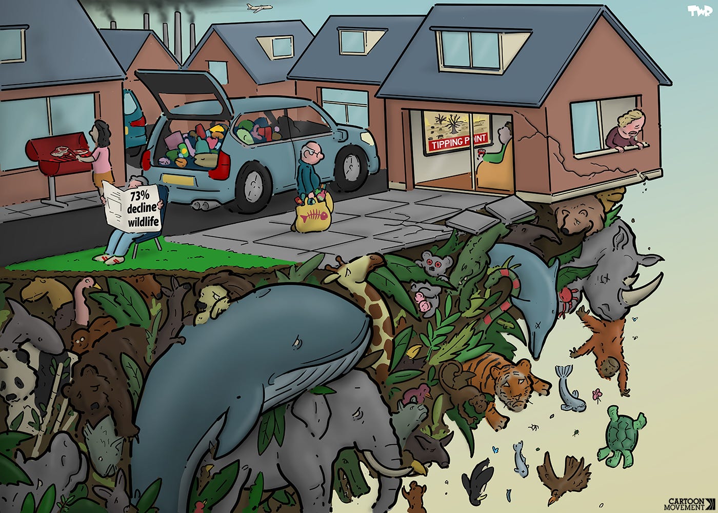 Cartoon showing a cliff made up of different wild animals. Animals are dying and falling off, making the cliff crumble. On top of the cliff is a neighbourhood of houses. The house closest to the cliff edge is also crumbling, while someone inside is watching a news report on the climate tipping point. In the rest of the neighbourhood, people are unloading groceries from an SUV, grilling meat on the BBQ and reading a newspaper with the headline '73% decline wildlife' on a lawn chair.