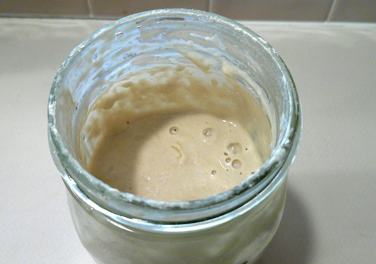 Sourdough starter