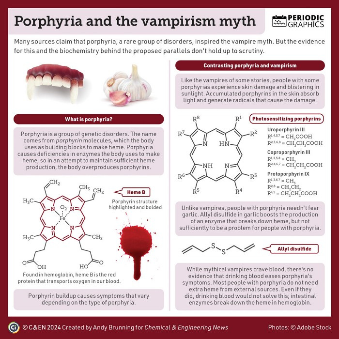 Infographic on porphyria and its historic links with vampirism.Many sources claim that porphyria, a rare group of disorders, inspired the vampire myth.Porphyria is a group of genetic disorders. The name comes from porphyrin molecules, which the body uses as building blocks to make heme. Porphyria causes deficiencies in enzymes the body uses to make heme, so in an attempt to maintain sufficient heme production, the body overproduces porphyrins. Porphyrin buildup causes symptoms that vary depending on the type of porphyria. Like the vampires of some stories, people with some porphyrias experience skin damage and blistering in sunlight. Accumulated porphyrins in the skin absorb light and generate radicals that cause the damage.Unlike vampires, people with porphyria needn't fear garlic. Allyl disulfide in garlic boosts the production of an enzyme that breaks down heme, but not sufficiently to be a problem for people with porphyria. While mythical vampires crave blood, there's no evidence that drinking blood eases porphyria's symptoms. Most people with porphyria do not need extra heme from external sources. Even if they did, drinking blood would not solve this; intestinal enzymes break down the heme in hemoglobin.