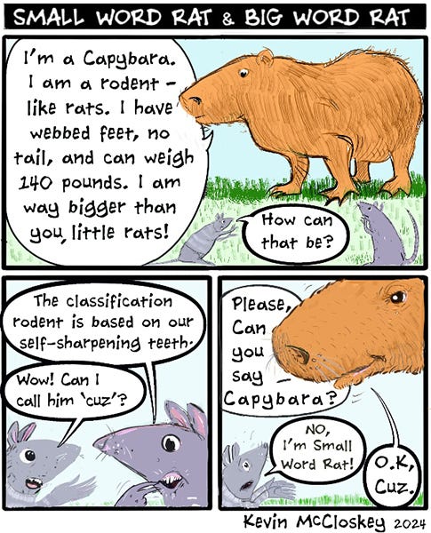 A capybara explains to two rats that it is also a rodent. The rats asks how that can be. Long- Word Rat explains that the classification rodent is based on self-sharpening teeth. The Small-Word Rat asks if they can call him “cuz”. The Capybara says, “Please can you say Capybara.” The Small-Word Rat explains that they can’t. “Ok, cuz.” says the Capybara.