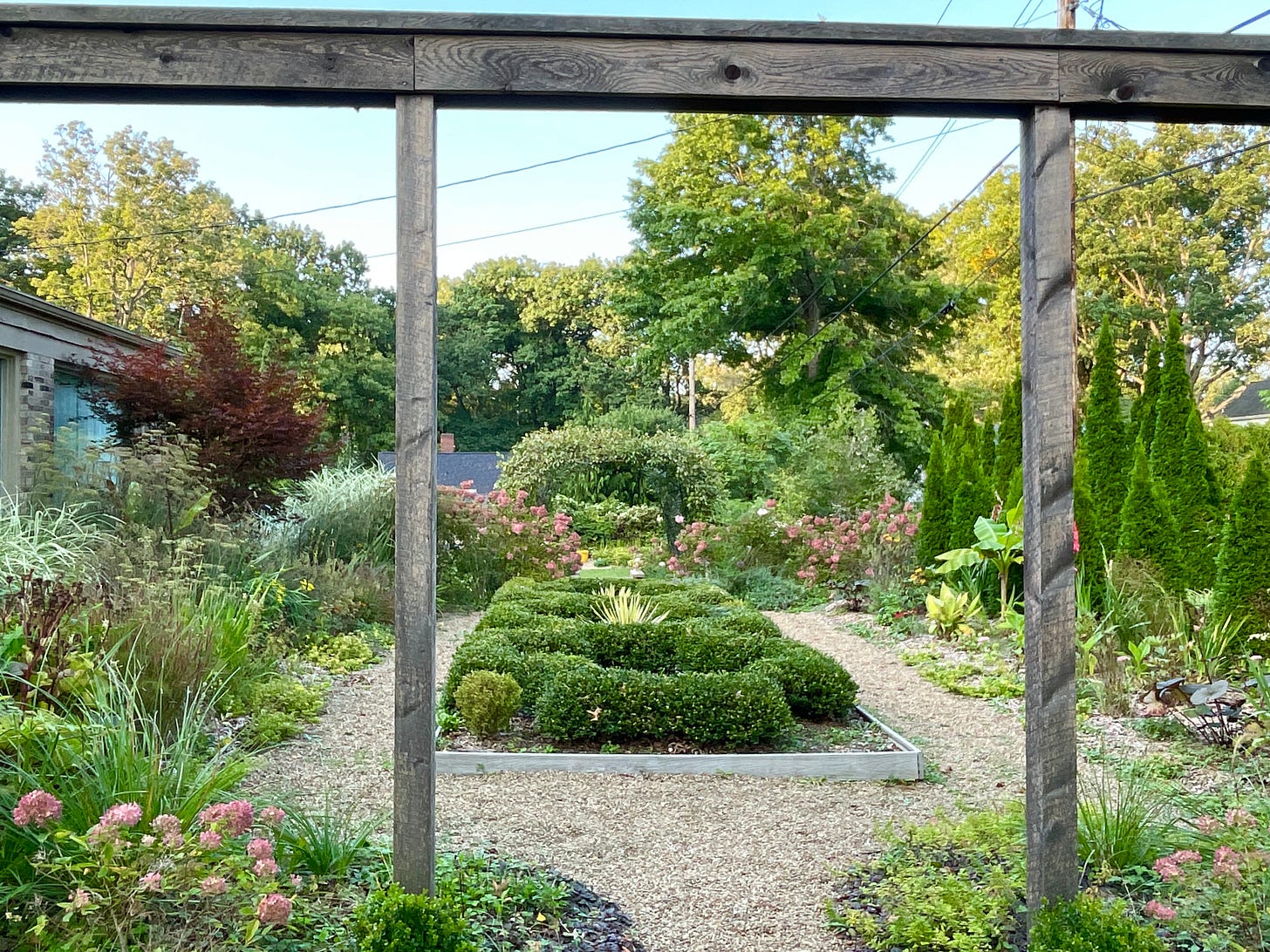 Bronze fennel, Helianthus and Gladiolus on each side of the Hot Border this month as the right side continues to fill in after being planted last year from transplants. 