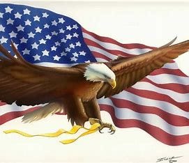 Image result for American Bald Eagle Symbol