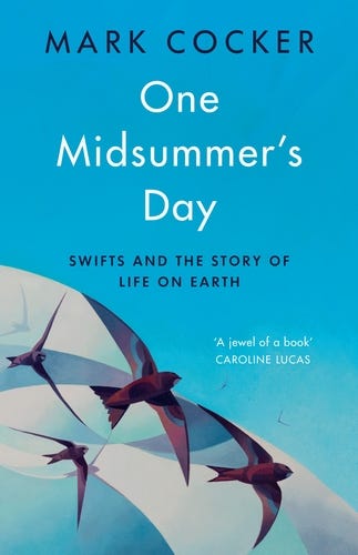 Cover of Mark Cocker's One Midsummer's Day: blue sky with stylised swifts