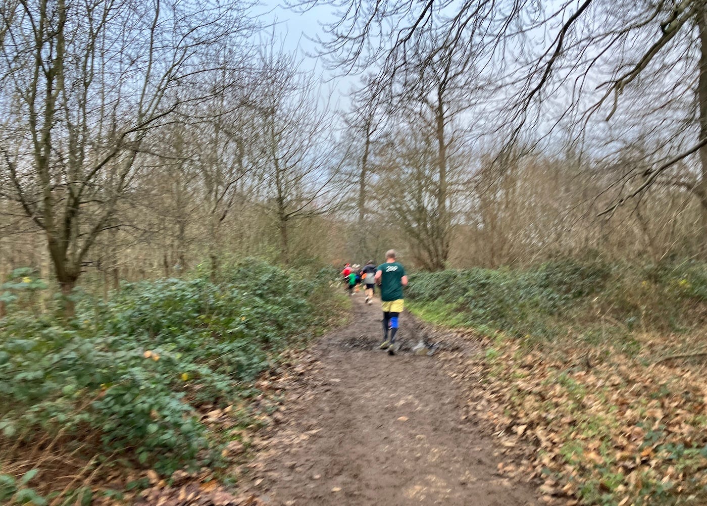 A mud path with a very muddy patch in the middle