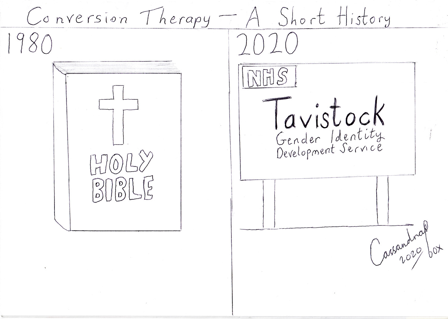 Cartoon reading 'Conversion Therapy: A Short History'. On the left, the year 1980 with a Bible, on the right, the year 2020 with a sigh stating 'NHS Tavistock Gender Identity Development Service'
