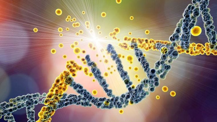 Study reveals 'stop-eating' response to DNA damage — MRC Weatherall  Institute of Molecular Medicine