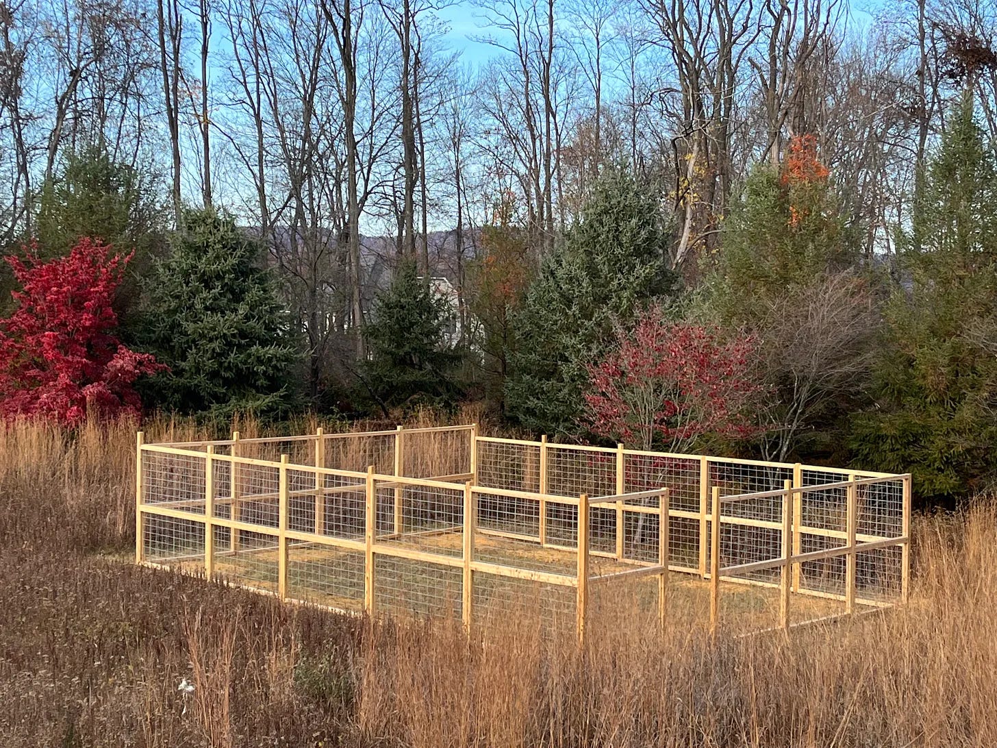 a cedar garden fence in tall grass with red dogwood trees in the background