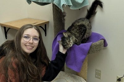 Lost cat turns up 2,000 miles from home after nearly 3 years