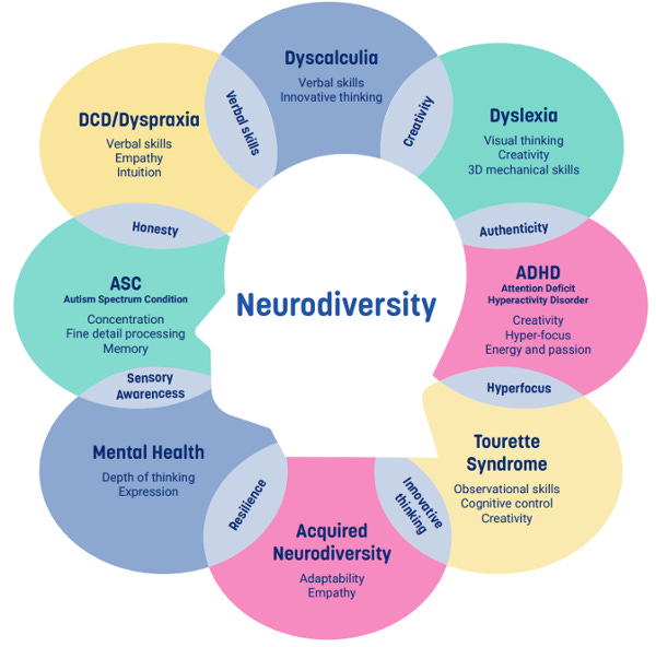 The Overlapping Skills and Strengths of Neurodiversity by Dr Nancy Doyle, based on the work of Mary Colley